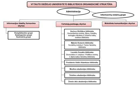 organizacinė studijų struktūra