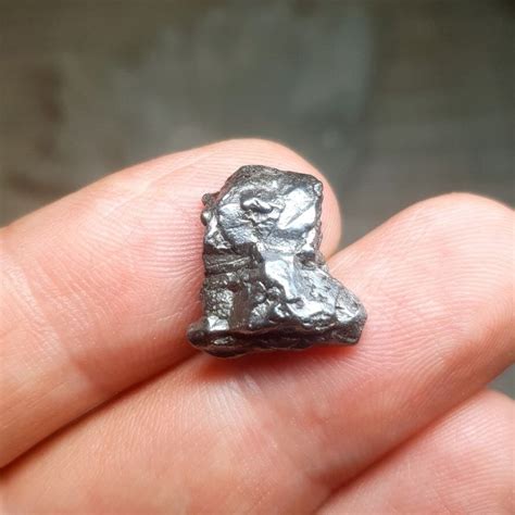 Ekspozicijų skyriai: mineralai, meteoritai, fosilijos