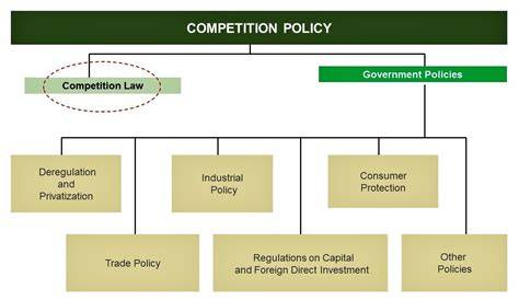 competition compliance program examples (8 zodziu)