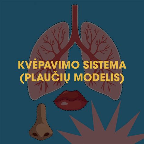 informacinė plaučių transplantacijų schema