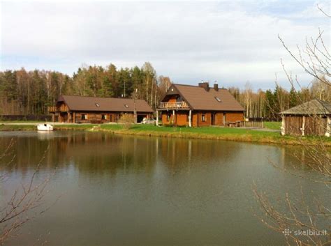 grafinė sodybos panorama miško fone