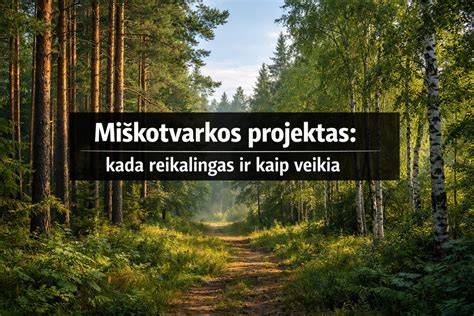 miškotvarkos projektas procesas