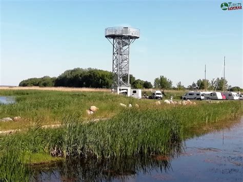 Kuršių marių panorama ir apžvalgos bokštas Drevernoje