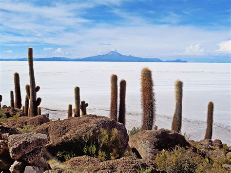 Uyuni druskos dykuma ir Salar de Uyuni vaizdas