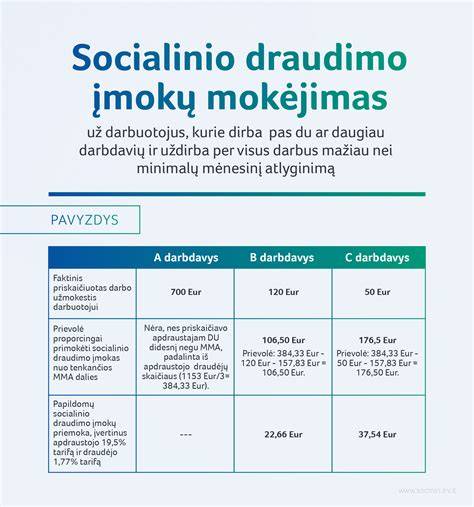 Garantijos ir draudimo schemos vizualiai