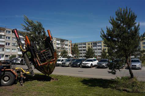 jauninimas ir planavimas medžių ateičiai