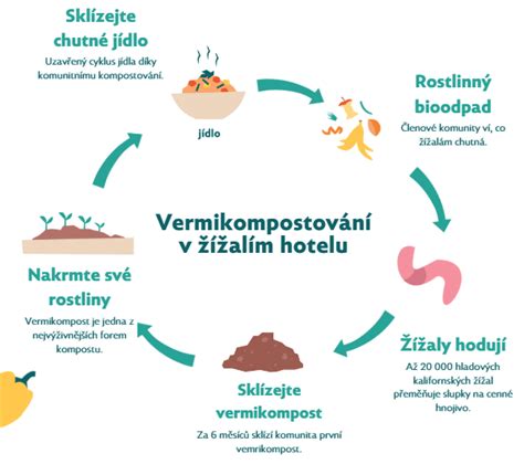 kolibri-hotel-infografika