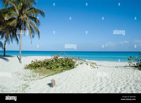 Varadero beach and resort area