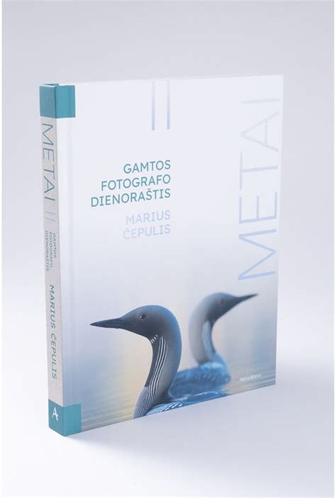 metai gamtos vaizdas iliustracija