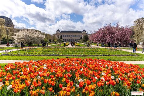 Jardin des Plantes