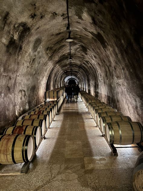 Italijos nuotaikų įtakoje vykstančios degustacijos įspūdžiai