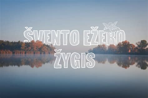 Švento ežero aplinkos miškai