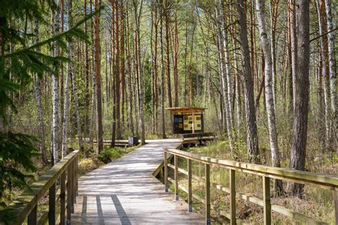 Pašilių stumbrynas ir pažintinis takas