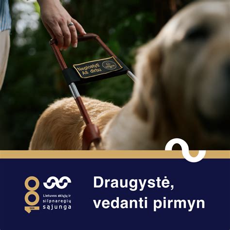 šilumos įgulos teises vedlių šunų vežimui