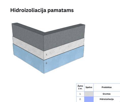 pamatų hidroizoliacijos svarba infografika