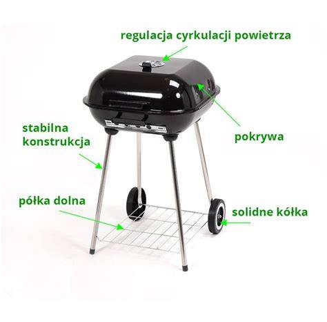 Gamtos lauko grilis su dangčiu schemų informatyvumui