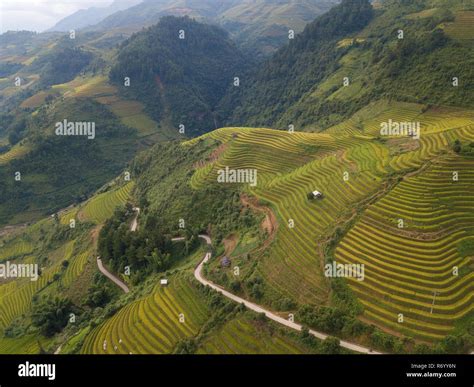 Mu Cang Chai terraced fields aerial view (8 words)