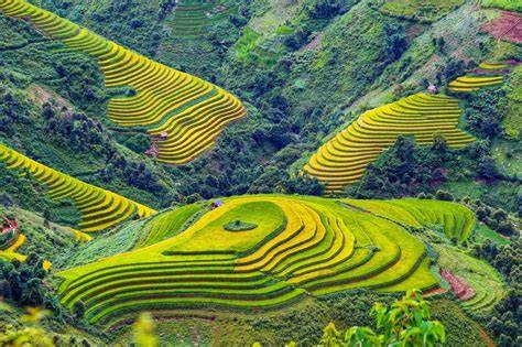 Mu Cang Chai kaimai vyksmas kaimai (8 words)